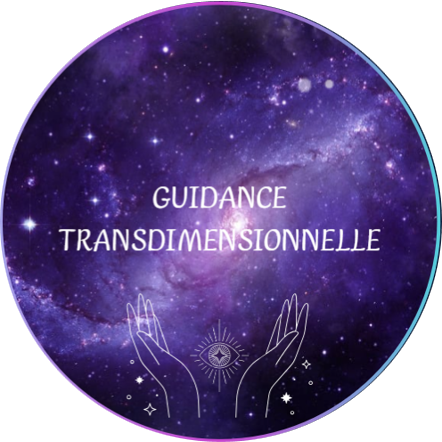 Guidance transdim